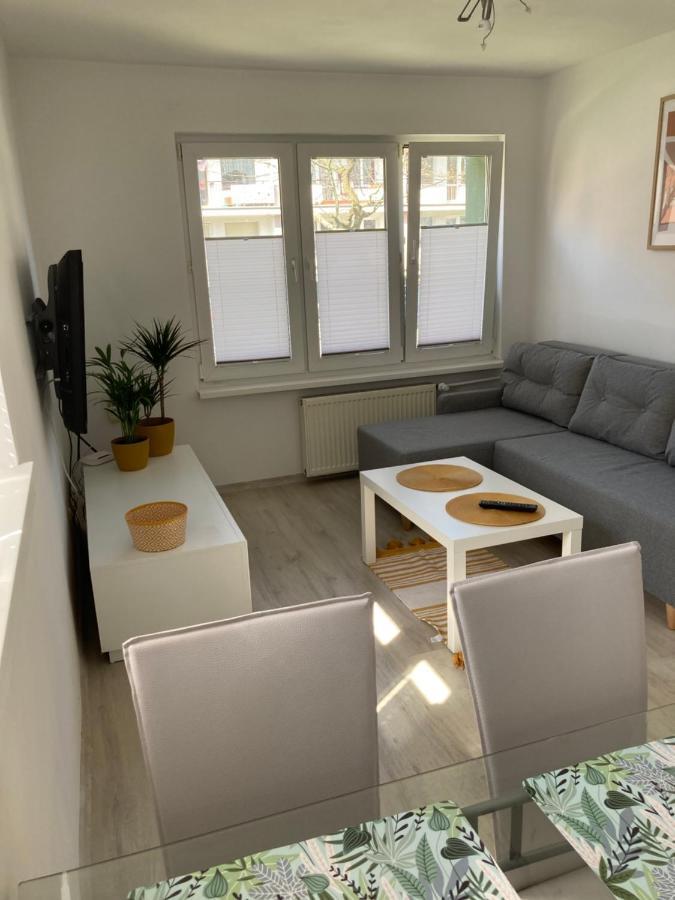 Apartament Uznamska Ambasada ชวีโนวิชแจ ภายนอก รูปภาพ